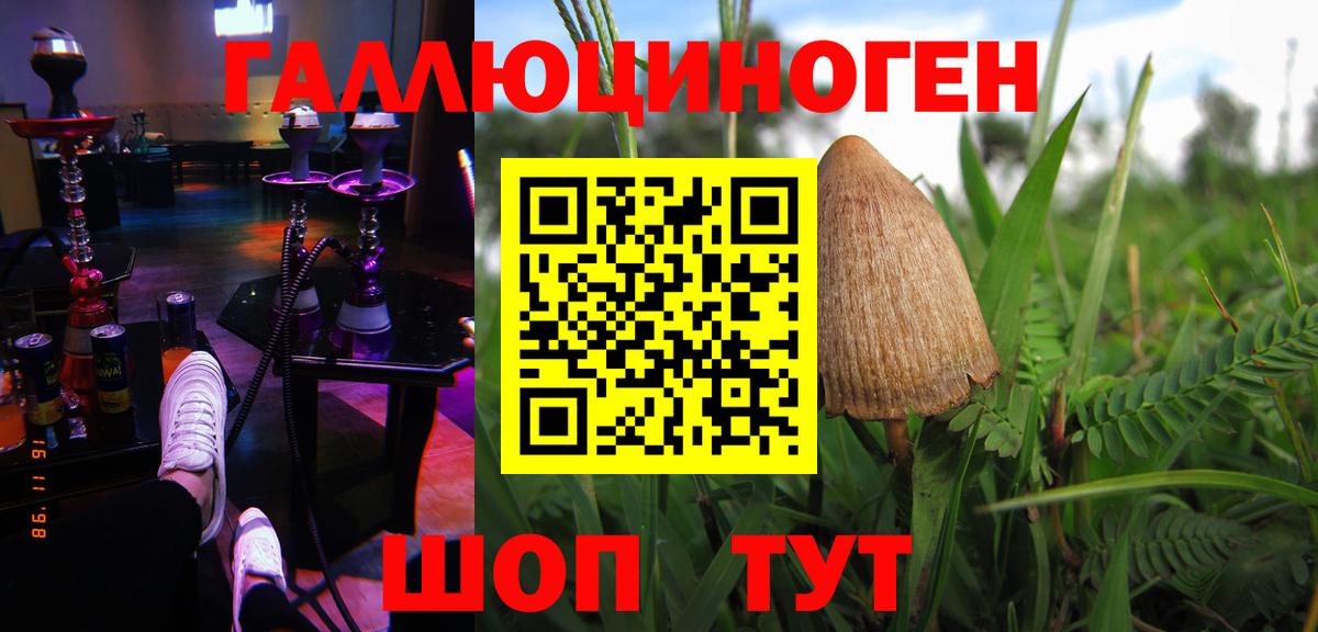 Самара  Псилоцибиновые грибы прущие грибы  Псилоцибиновые грибы MAGIC MUSHROOMS  Вход с VPN 